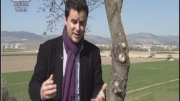 Privado: [ID: tAzXE9tb8U0] Youtube Automatic