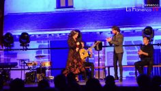 Privado: [ID: sZFC1kmveSc] Youtube Automatic