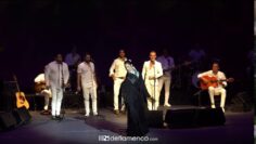 [ID: 9dh8GJKJ3WA] Youtube Automatic