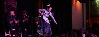 [ID: bMNp06NezZs] Youtube Automatic