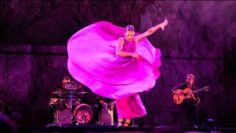 [ID: DDtC_E8nakM] Youtube Automatic