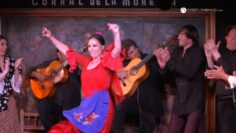 [ID: iM7tNP5jzlM] Youtube Automatic