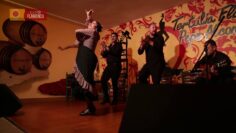 [ID: k1cuhF7F43Q] Youtube Automatic