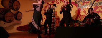 [ID: k1cuhF7F43Q] Youtube Automatic