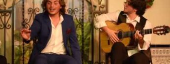 [ID: Op9ZmHyOf_g] Youtube Automatic