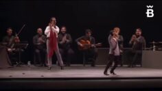 [ID: QF2Q6DtPwwI] Youtube Automatic