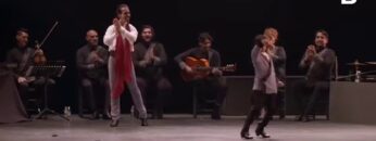 [ID: QF2Q6DtPwwI] Youtube Automatic