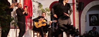 [ID: Y71dxpIaLjU] Youtube Automatic