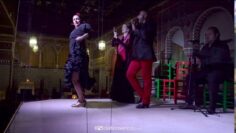 Privado: [ID: d73b0T2m2ng] Youtube Automatic