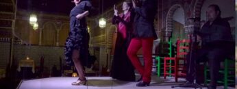 Privado: [ID: d73b0T2m2ng] Youtube Automatic