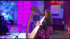 Privado: [ID: sY2T0WIVVIw] Youtube Automatic