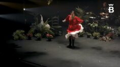 Privado: [ID: XFdHq7tqMQo] Youtube Automatic