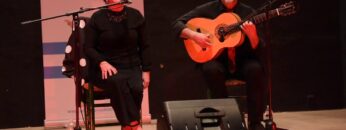 Privado: [ID: 0l4e40yY_40] Youtube Automatic