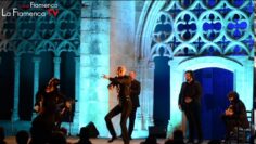 Privado: [ID: 2FRTTphWfNM] Youtube Automatic