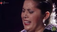 Privado: [ID: 7cMpCr-FAOQ] Youtube Automatic