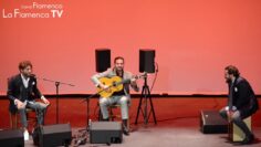 Privado: [ID: aLB21aO6T3o] Youtube Automatic