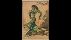 Privado: [ID: AoXi0aHs1KY] Youtube Automatic