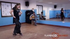 Privado: [ID: BUyMJlmkQi4] Youtube Automatic