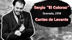 Privado: [ID: EL5bNW3BFc0] Youtube Automatic