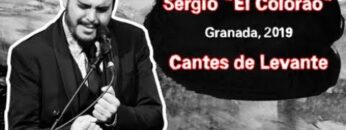 Privado: [ID: EL5bNW3BFc0] Youtube Automatic