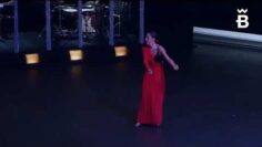 Privado: [ID: f3kKoInrSnQ] Youtube Automatic