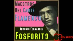 Privado: [ID: JrU0vfU0WzE] Youtube Automatic