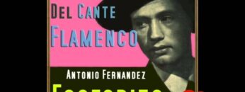 Privado: [ID: JrU0vfU0WzE] Youtube Automatic