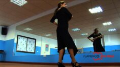 Privado: [ID: KM_ZehjBguw] Youtube Automatic