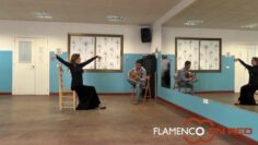 Privado: [ID: -nLpOuPFOl4] Youtube Automatic