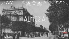 Privado: [ID: PGNOOLG-IrU] Youtube Automatic