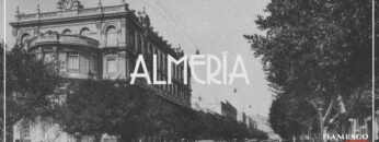 Privado: [ID: PGNOOLG-IrU] Youtube Automatic