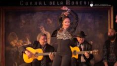 Privado: [ID: Sg3rUQ0Oua0] Youtube Automatic