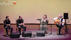 Privado: [ID: tIRHQwcJ2G0] Youtube Automatic