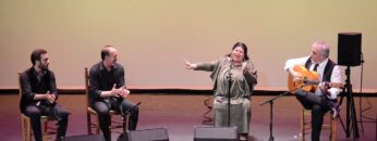 Privado: [ID: tIRHQwcJ2G0] Youtube Automatic