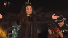 Privado: [ID: tYz47-9jMTo] Youtube Automatic