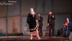 Privado: [ID: u4Hgv62kf0g] Youtube Automatic