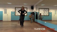 Privado: [ID: UaHvVTZ7IdI] Youtube Automatic