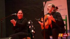 Privado: [ID: vAm0B7VvMZA] Youtube Automatic