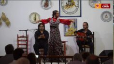 Privado: [ID: Va_zzkQVfaI] Youtube Automatic