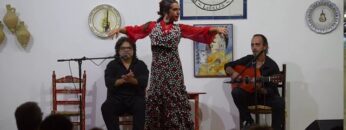 Privado: [ID: Va_zzkQVfaI] Youtube Automatic