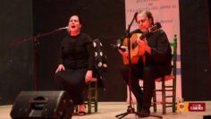 Privado: [ID: WZ8uKq3FPn0] Youtube Automatic