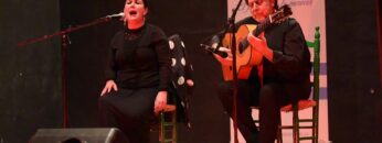 Privado: [ID: WZ8uKq3FPn0] Youtube Automatic