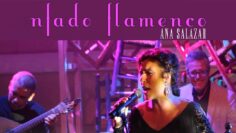 Privado: [ID: xZH4ffwW0cA] Youtube Automatic