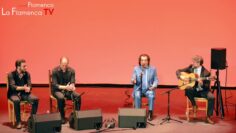 Privado: [ID: ZihErboH2xs] Youtube Automatic