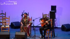 Privado: [ID: dFE-Hwi4ULM] Youtube Automatic