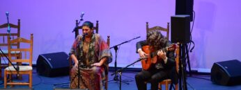 Privado: [ID: dFE-Hwi4ULM] Youtube Automatic