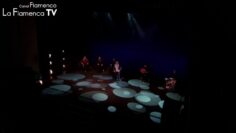 Privado: [ID: eOMAQdoTqoU] Youtube Automatic