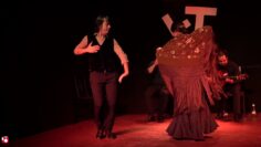 Privado: [ID: IYG3Wo5bsHk] Youtube Automatic