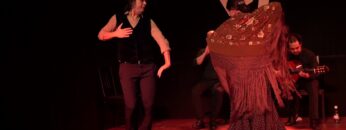 Privado: [ID: IYG3Wo5bsHk] Youtube Automatic