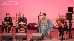 Privado: [ID: j46-7aqETxo] Youtube Automatic